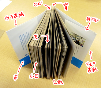 20130227.jpg