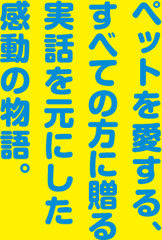 ペットを愛する、すべての方に贈る実話を元にした感動の物語 ねこのトロとイヴは、いつもどこでもいっしょ。ご主人さまがお出かけして、ふたりきりになると、トロはなんでもひとりじめ。イヴは「ふんっ」としらんぷり。そんなある日、イヴはご主人様に連れられて、いなくなってしまい…なくしてから気づく、大切な想い…